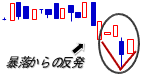 暴落からの反発初日